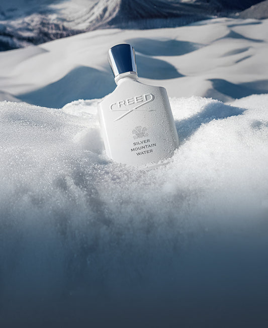 Reflejos en la nieve