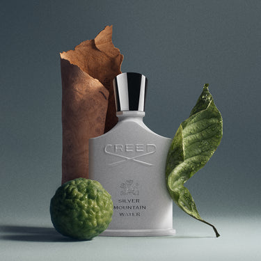Silver Mountain Water